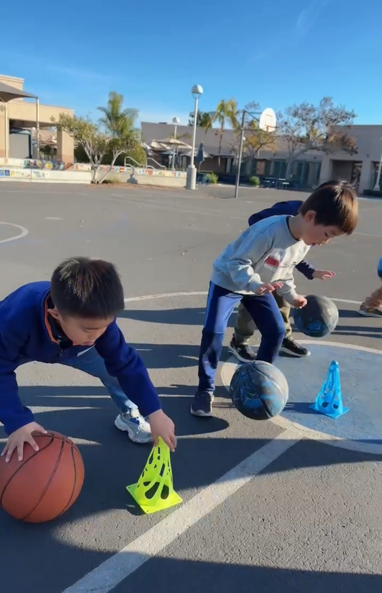 Basketball Training